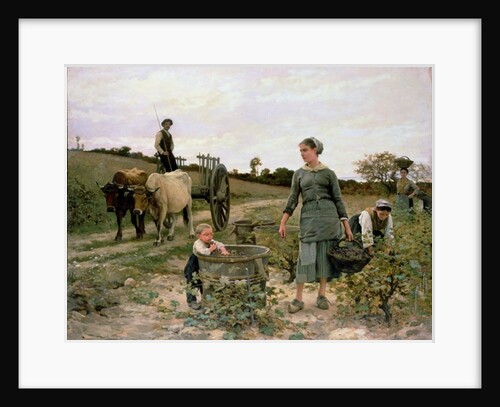 Corner of a Vineyard, Languedoc, 1886 by Edouard Debat-Ponsan