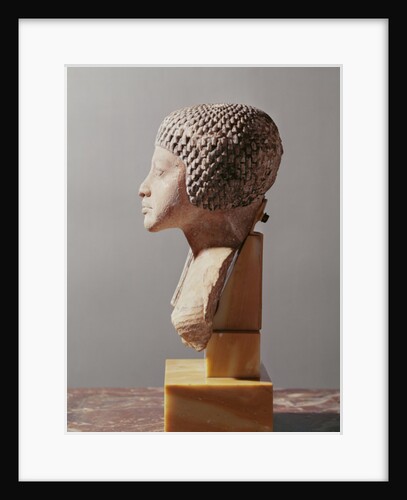 Left profile of the head of a Princess from the family of Akhenaten, New Kingdom by Egyptian 18th Dynasty