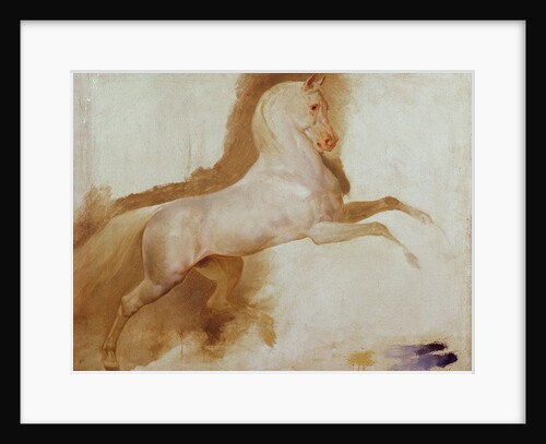 Horse of Joachim Murat, c. 1832 by Baron Antoine Jean Gros
