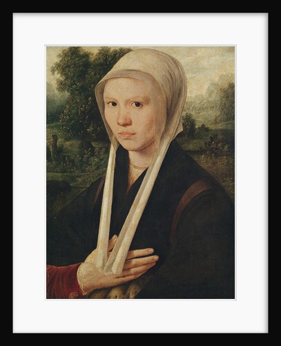 Portrait of a young woman, c.1530 by Dirk Jacobsz