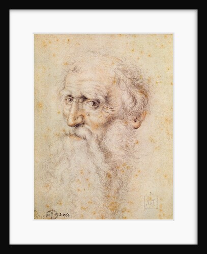 Portrait of a bearded old man by Albrecht Dürer or Duerer