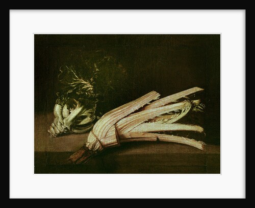 Cardoon and Cabbage by Spanish School