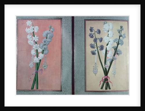 T.K.Hazine 413 Two Hyacinths, 1736 by Turkish School
