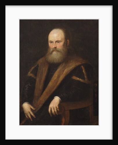 Portrait of a Venetian noble by Jacopo Robusti Tintoretto