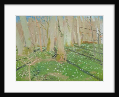 Forest with anemonies, 1889 by Maurice Denis