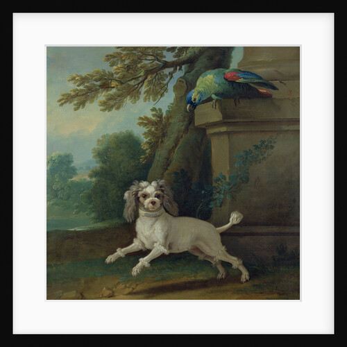 Zaza, the dog, c.1730 by Jean-Baptiste Oudry