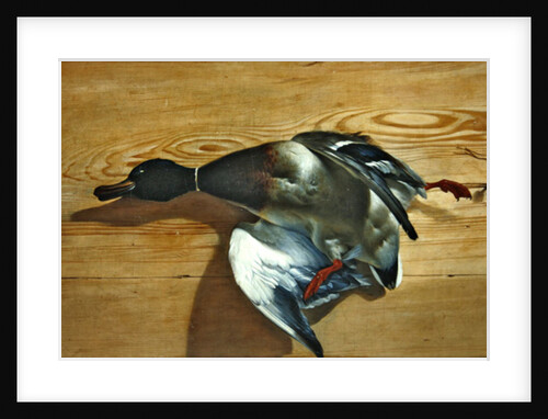 A duck on a pine board, 1753 by Jean Jacques Bachelier