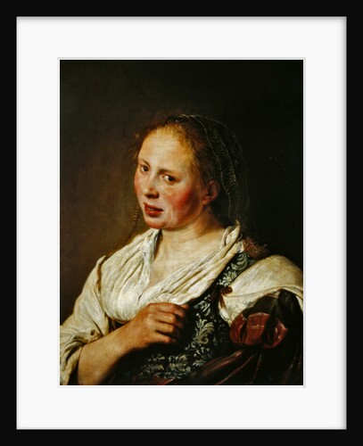 Painting of the young peasant by Salomon de Bray