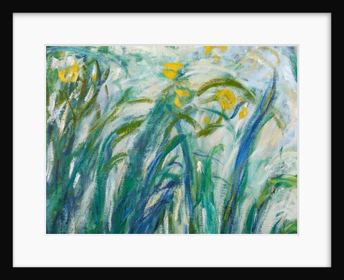 Yellow and Purple Irises, 1924-25 by Claude Monet