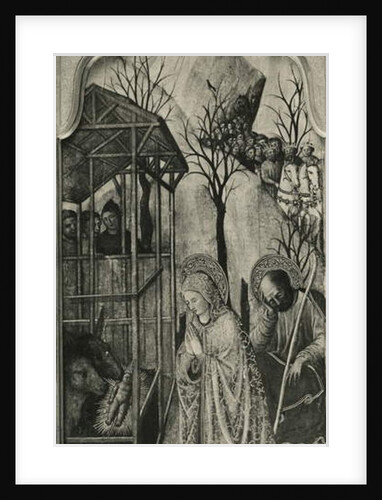 Cycle of the Life of the Virgin, Nativity, c.1445 by Giovanni Francesco da Rimini