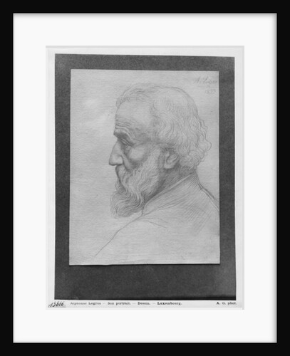 Head of an old man with long hair, 1899 by Alphonse Legros