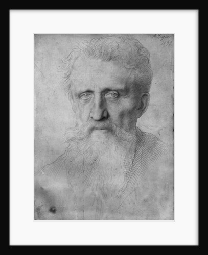Head of a man with long beard, 1898 by Alphonse Legros