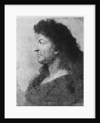 Portrait of Louis XIV in profile, with bare neck and long hair, c.1678 by Charles Le Brun