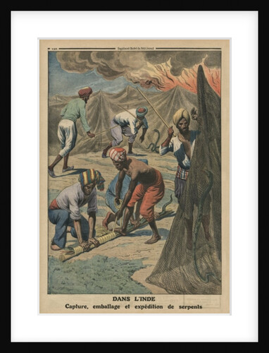 Catching, packing and sending snakes, India by French School