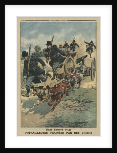 In the Belgian army, machine guns pulled by dogs by French School