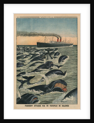 A shoal of whales attacking a liner by French School