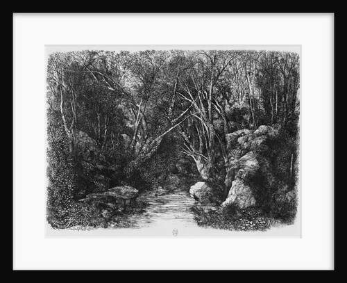 The Stream through the trees, 1880 by Rodolphe Bresdin