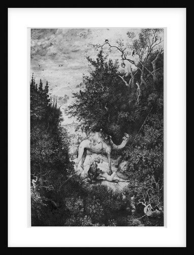 The Good Samaritan, 1860 by Rodolphe Bresdin