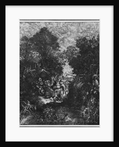 The Good Samaritan, 1861 by Rodolphe Bresdin