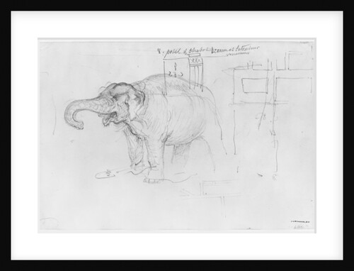 Album of the Siege of Paris, Elephant by Gustave Dore