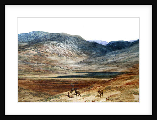 Mountainous landscape with stags, 1873 by Gustave Dore