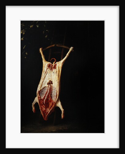 Flayed Pig by Adriaen Jansz. van Ostade
