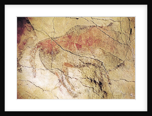 Bison from the Caves at Altamira, c.15000 BC by Prehistoric Prehistoric