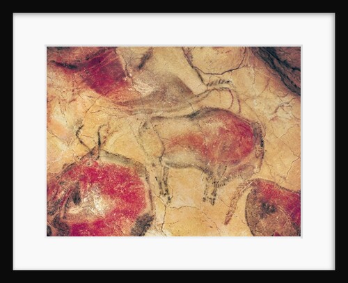 Bisons by Prehistoric Prehistoric