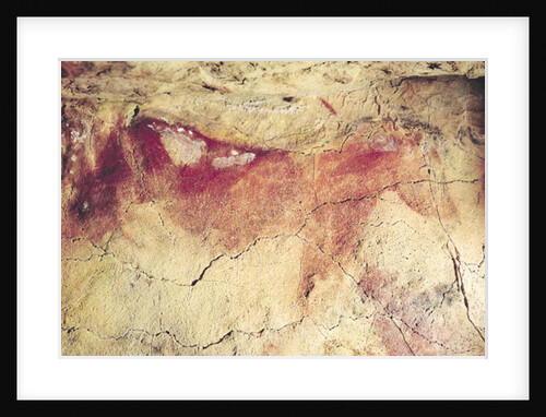 Representation of an animal, c.15000 BC by Prehistoric Prehistoric