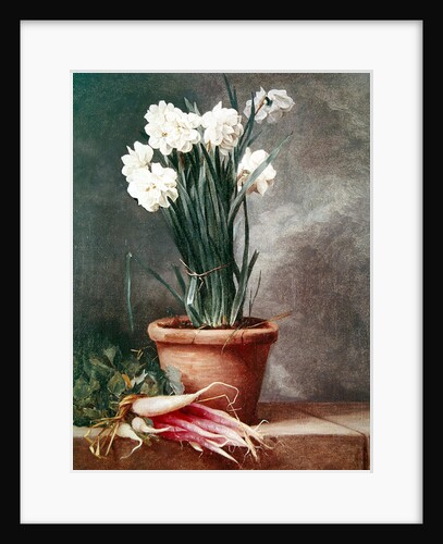 Narcissus and Radishes by Henri Roland de la Porte