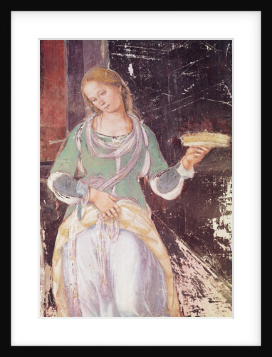 Servant holding a basket by L. & Sodoma G. Signorelli