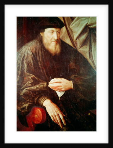 Portrait of Andrea Doria by Jan Massys or Metsys