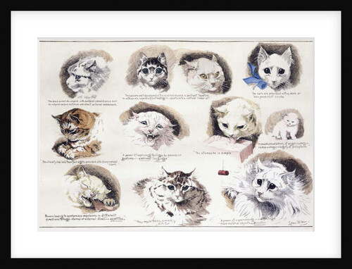 Plan of the Mazas Prison and cells for prisoners, Boulevard Mazas, Paris by French School