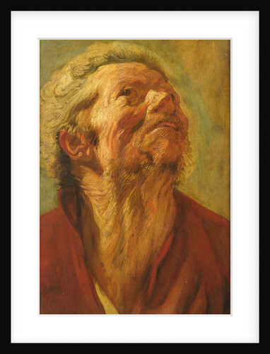 Study of a Head, or Head of an Apostle, c.1620 by Jacob Jordaens