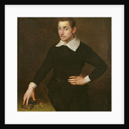 Portrait of a Young Florentine Goldsmith by Agnolo di Cosimo Bronzino