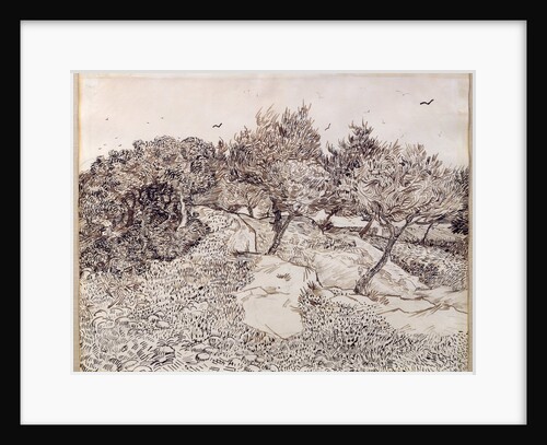 The Olive Trees by Vincent van Gogh