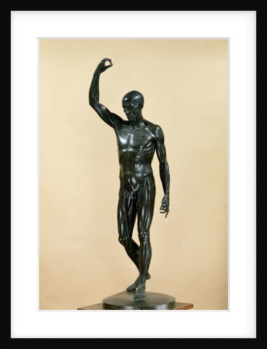 Flayed Body by Jean-Antoine Houdon