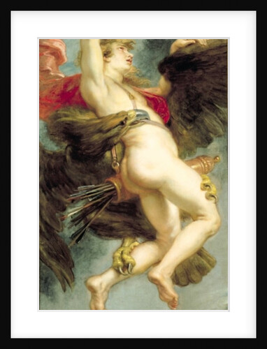 The Rape of Ganymede, c.1636-38 by Peter Paul Rubens