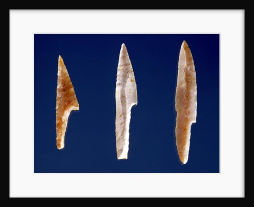 Three serrated points by Prehistoric Prehistoric