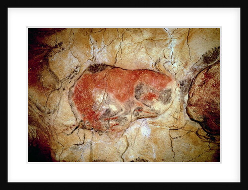 Bison from the Altamira Caves, Upper Paleolithic, c.15000-8000 BC by Prehistoric Prehistoric