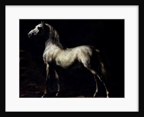 Study of a Dapple Grey by Theodore Gericault