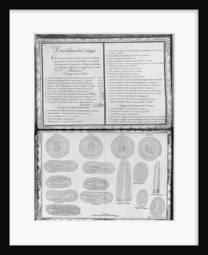 Ropes of a galley by French School