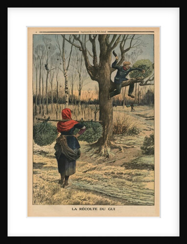 Cutting the mistletoe by French School