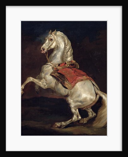 Napoleon's Stallion, Tamerlan by Theodore Gericault