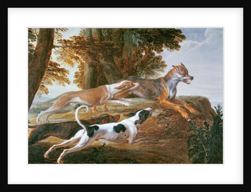 The Wolf Hunt, c.1720 by Alexandre-Francois Desportes