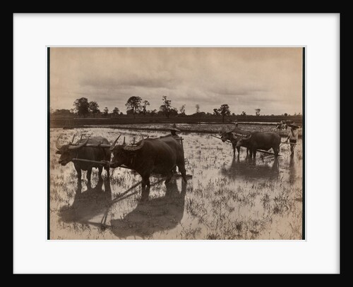 Farm work, c.1880 by Philip Adolphe Klier