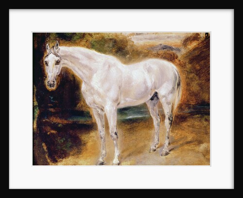 White Horse by Ferdinand Victor Eugene Delacroix