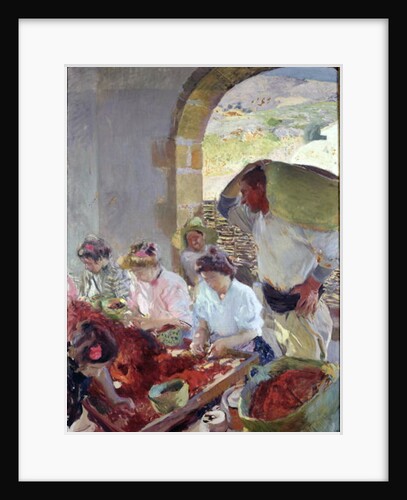 Preparing the Dry Grapes, 1890 by Joaquin Sorolla y Bastida