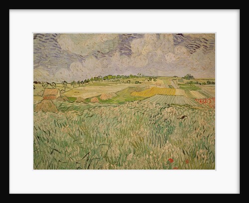 The Plain at Auvers, 1890 by Vincent van Gogh