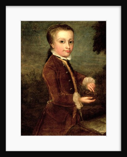 Portrait of Wolfgang Amadeus Mozart aged eight, holding a bird's nest, 1764-65 by Johann Zoffany